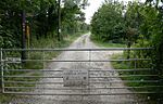 Battram Wood