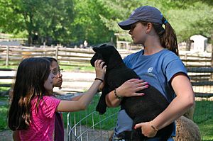 Woman child petting goat