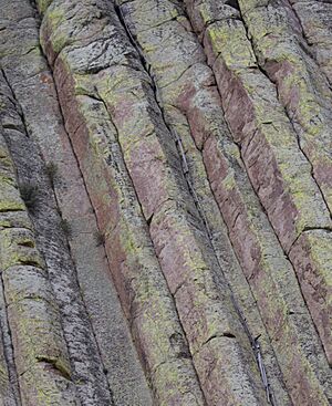 WoodStakeLadderDevilsTowerWY