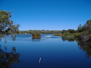 Yanchep National Park 1