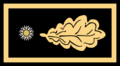 04 01 Intendente