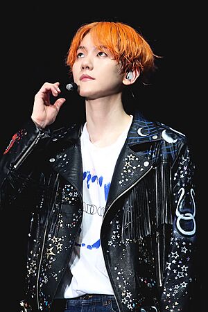 190719 Exo Planet 5 – Exploration 백현 2-1
