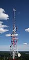 2012 07 21 great-blue-hill 28 (43254623450)