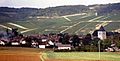 A village with vineyards in Champagne, France 1987