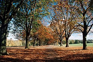 Abington-Park