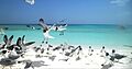 Archipiélago Los Roques - Dos Mosquises
