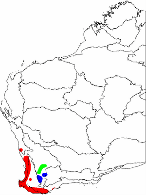 Banksia subg. Isostylis map