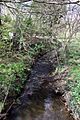 Barkham Brook (geograph 3435589)