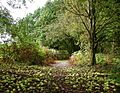 Barlow Common, Camblesforth - geograph.org.uk - 584555