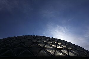 Bloedel Conservatory