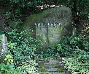 Carl bosch grab