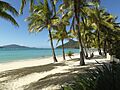 Catseye Beach on Hamilton Island