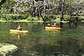 Children paddling down the Ichetucknee River