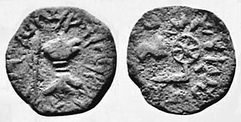 Coin of Bhumaka