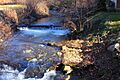 Coles Creek looking upstream from T800