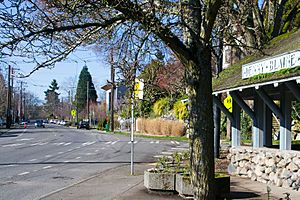 A view of Madrona Place and East Denny Way in the Denny-Blaine neighborhood