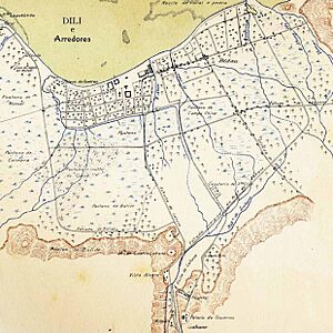 Dili map