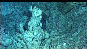 Expl2224 - Flickr - NOAA Photo Library