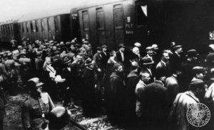 First transport to Auschwitz (Tarnów - 14th June 1940)