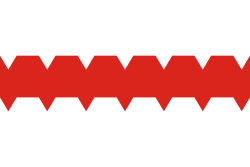 Flag of Omsk.svg