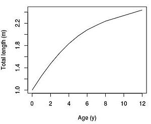 Growth curve for raggedtooth shark