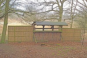 Hide at South Walsham Fen Nature Reserve - geograph.org.uk - 1258311