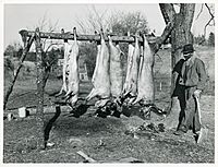 Hog killing Halifax County Marion Post Wolcott 1939