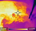 Hot and cold water immiscibility thermal image