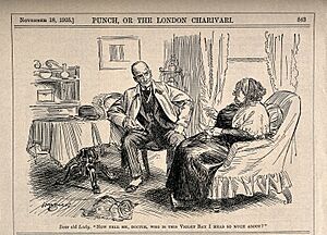 Illustration from Punch By HM Brock (1875-1960) by courtesy of Wellcome Collection - Violet Rays