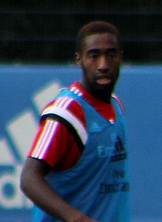Johan Djourou 2014