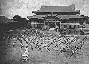 Karate ShuriCastle