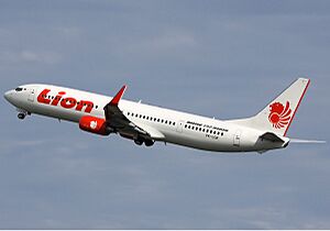 Lion Air Boeing 737-900ER Spijkers-1