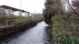 Lower Wandle 1