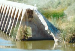 Maricopa County-Gillespie Dam-1921-7