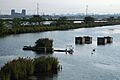 Meadowlands NJ late summer