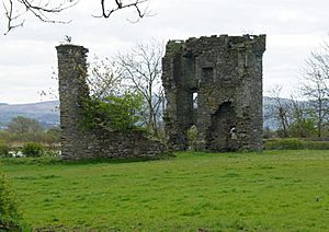 Mongavlin Castle