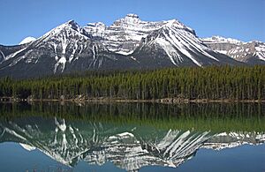 Mt. Niblock reflected in Lake Herbert