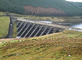 A dam head and spillway with trees on the far side