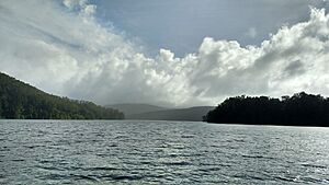Navigating the Valdivia river