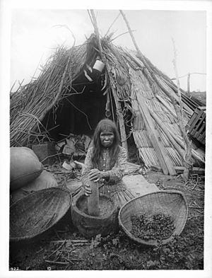 Paiute indian woman grinding acorns for flour, Lemoore, Kings County, ca.1900 (CHS-922)