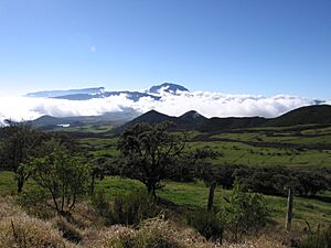 Piton des neiges vu de la plaine des cafres