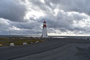 Point Riche Newfoundland Canada DSC 3043