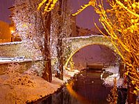 Puente romanico Aranda