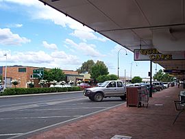 Quirindi, New South Wales