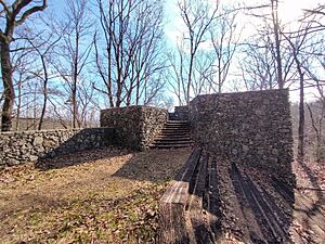 Red Clay State Park tower