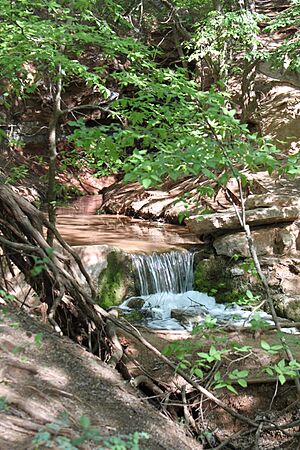 Roman Nose State Park