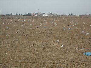 Saetchots plastike Sebt Od Bou3ziz