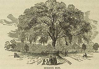 Sights in Boston and suburbs, or, Guide to the stranger (1856) (14574552739)