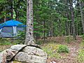TENTING AT BLACKWOODS