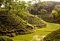 Tea Garden near Srimangal, Sylhet, Bangladesh